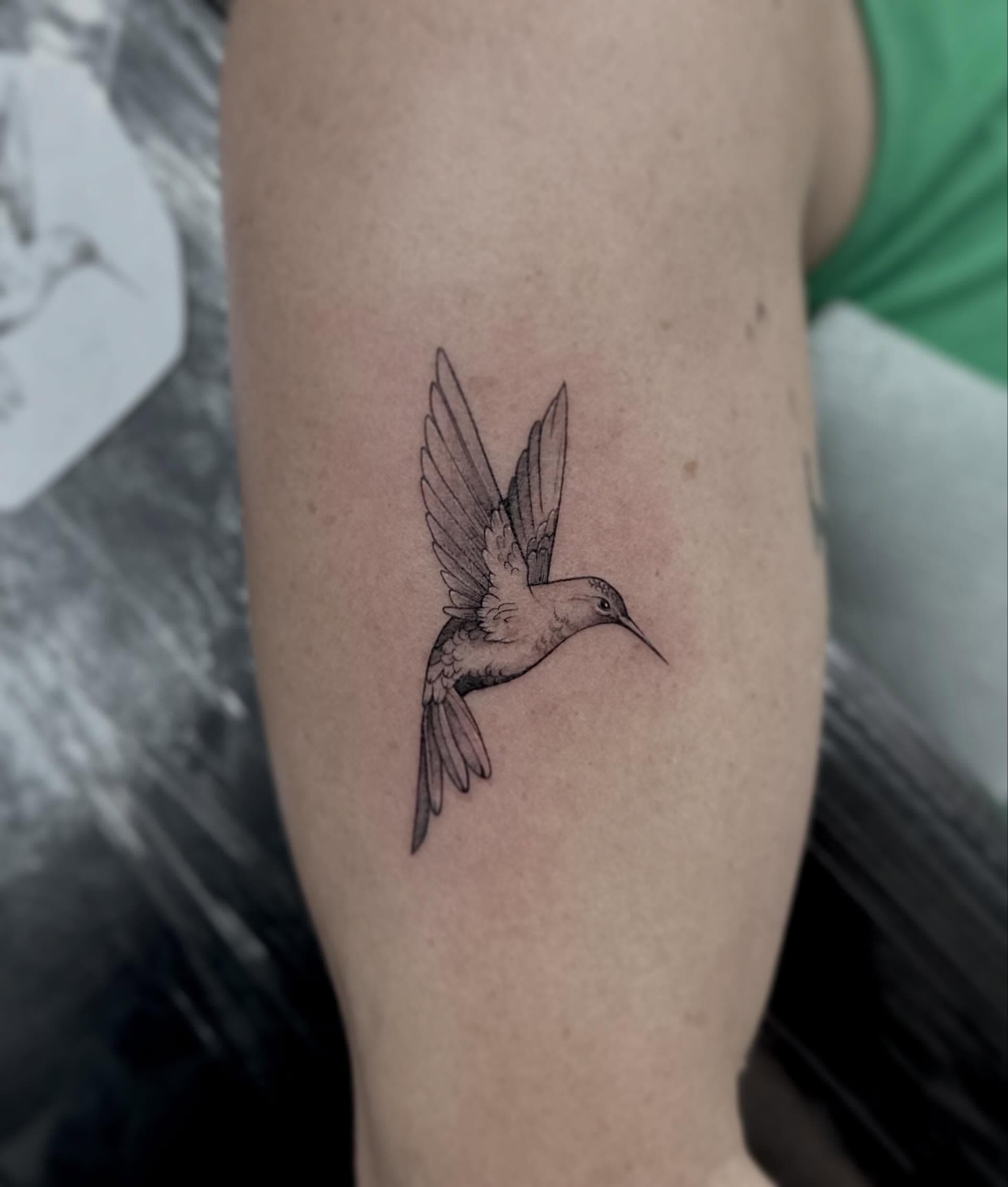 Fine line hummingbird